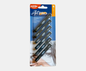 20 Set carboncillo en barra Pointer