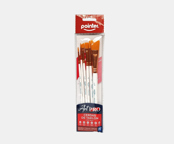 81 Set 6 pinceles Pointer